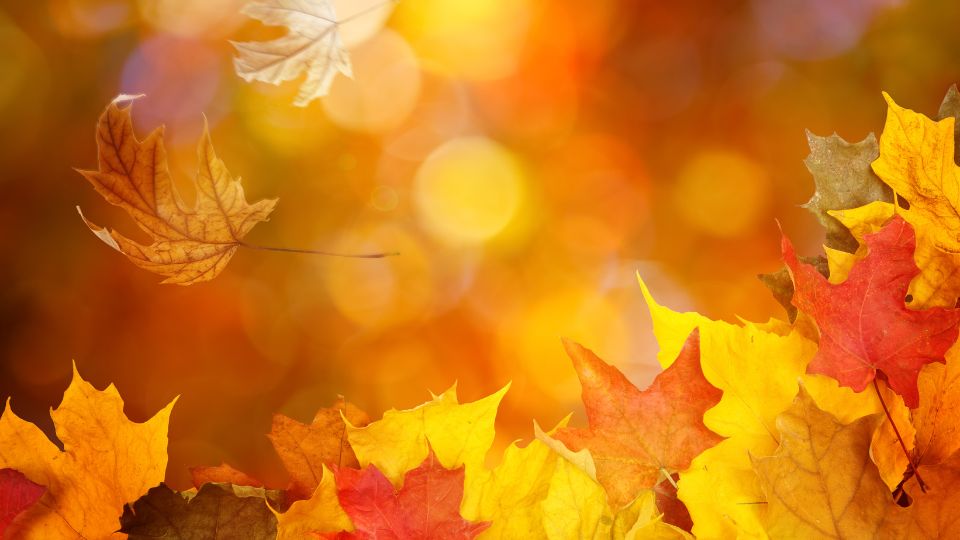 jak umilić sobie jesień