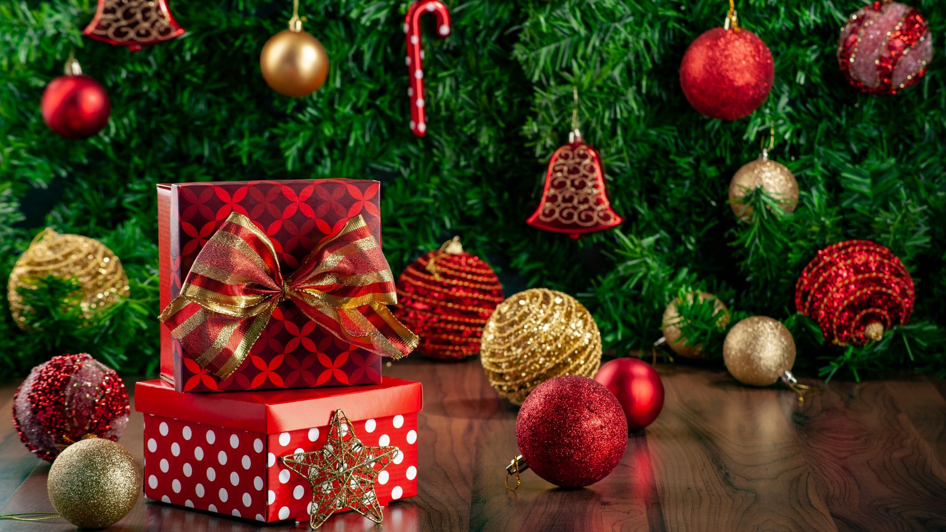 automatycznie zapisany szkic